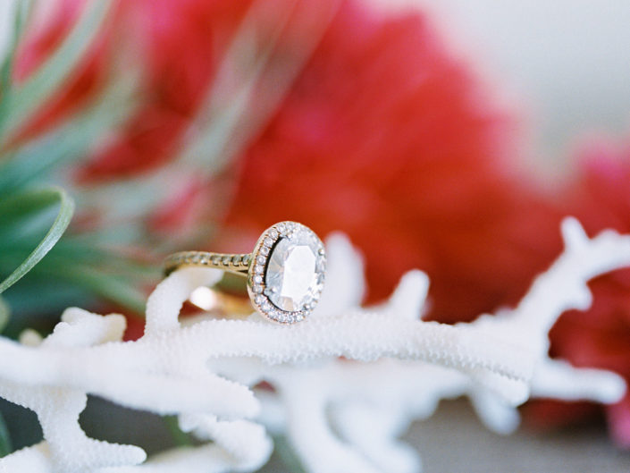 wedding rings, diamonds, white tree branch, wedding photography, photoshoot
