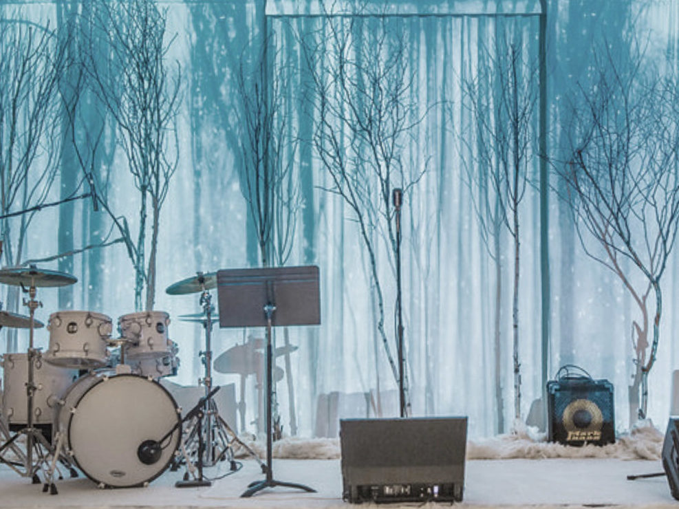 stage, eight piece band, drums, winter wonderland, trees
