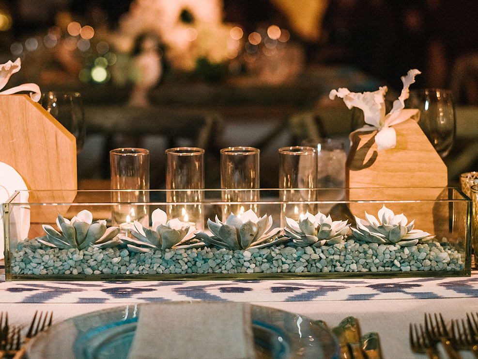 tabletop, succulents, rocks, white orchids, seashells, tablescape, centerpiece