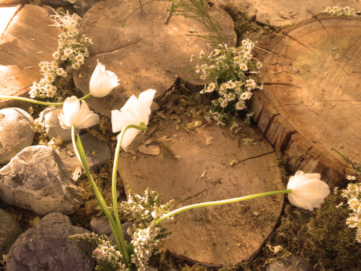 moss, wood, flowers, daisies, natural, forest, nature, wedding