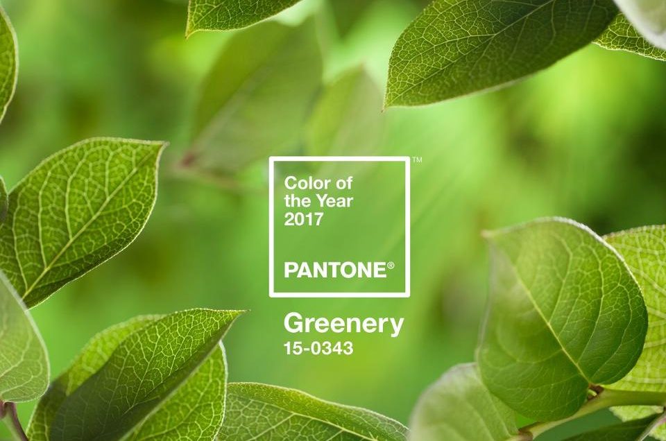 Pantone of the Year and Your Event Design