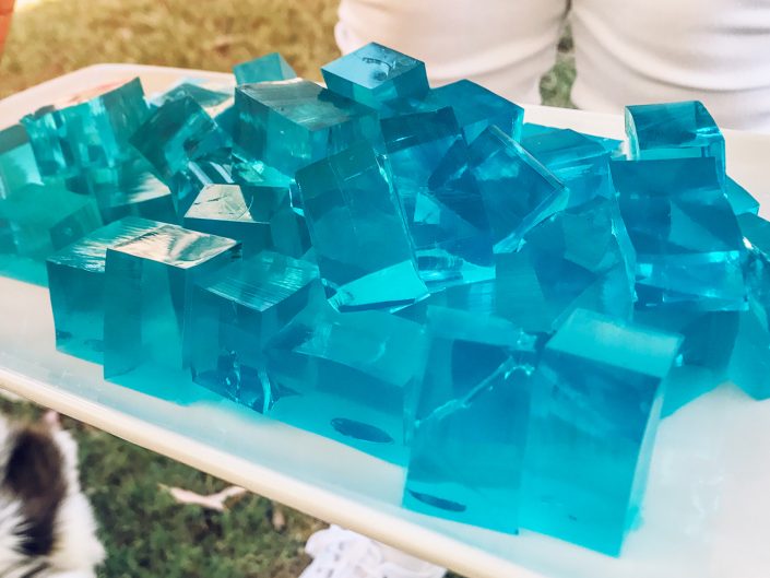 bumble, winter bumbleland, coachella party, kristin banta events, event design, ice blue jell-o shots