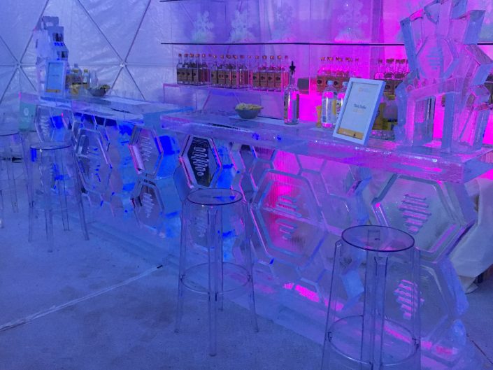 bumble, winter bumbleland, coachella party, kristin banta events, event design, ice luge bar inside igloo