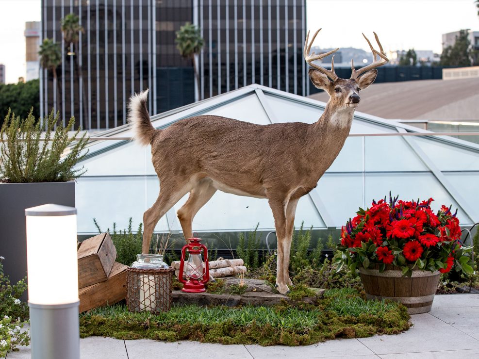 Three Billboards LA Premiere Party, Rooftop Taxidermy