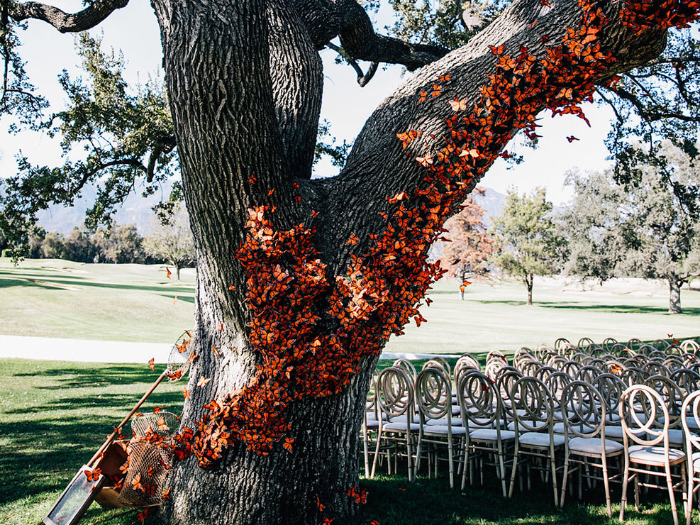 Butterflies on Tree Wedding Design