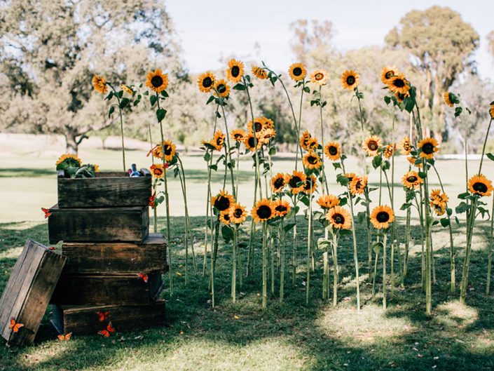 Sunflowers Wedding Design Ext.