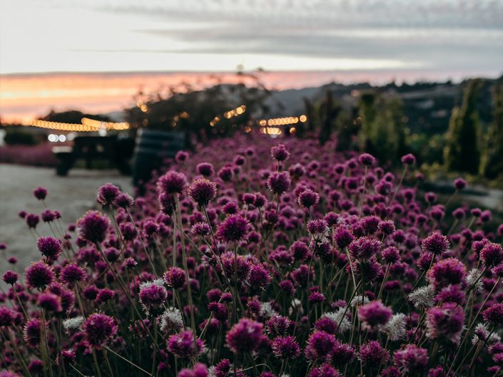 Carmel Wedding Landscape