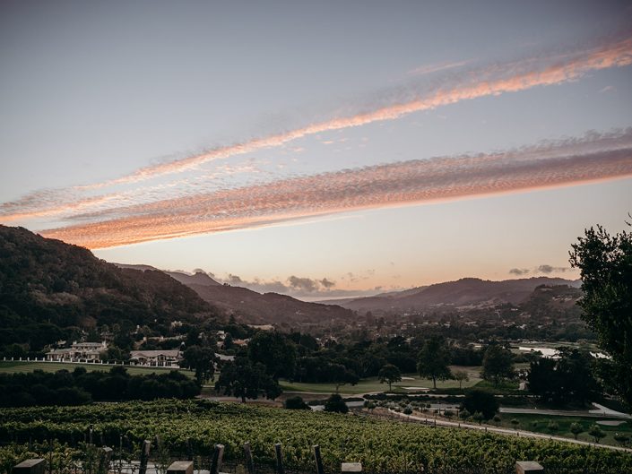 Carmel Wedding Landscape