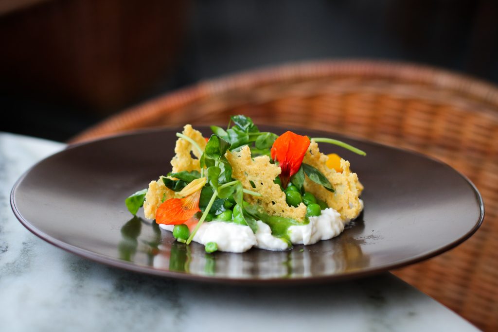 Farmhouse Burrata with Pea and Parmesan Crisps Kristin Banta Events